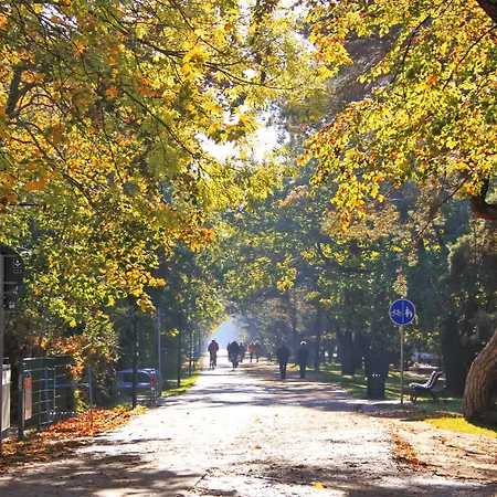 Ξενοδοχείο Seetelhotel Pommerscher Hof Wellnesshotel Im Herzen Der Kaiserbaeder Mit Direktem Zugang Zur Wellnessoase Shehrazade 4*